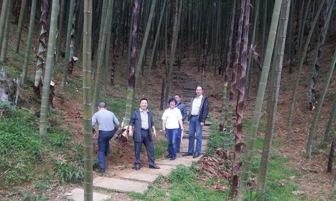 Fujian Yongan Forestry Audit Site