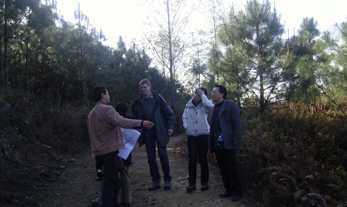 Jiangxi Huanggangshan Forest Farm