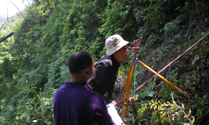 Woodland field inspection