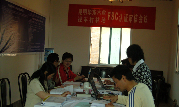 Yunnan Lufeng Forest Farm Audit