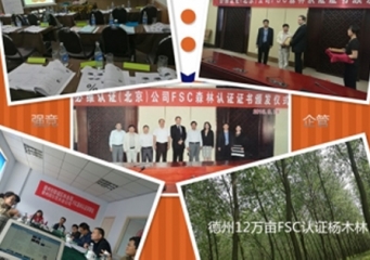 120,000 mu of poplar forest in Dezhou, Shandong passed FSC joint certification