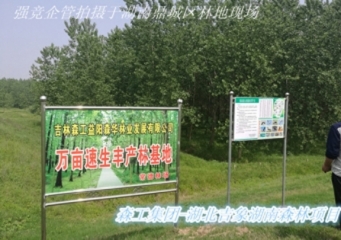 Forest industry group - Hunan Yiyang FSC Forest Certification Project