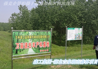 Forest Industry Group-Hunan Yiyang FSC Forest Certification Project