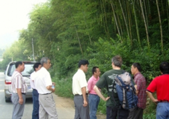 Bamboo Forest in Anji, Zhejiang